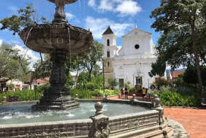 Санта-Фе-де-Антьокия + кофейный тур из Медельина, частный тур