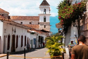 Санта-Фе-де-Антьокия + кофейный тур из Медельина, частный тур