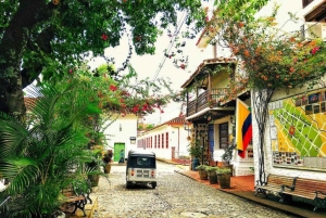 Санта-Фе-де-Антьокия + кофейный тур из Медельина, частный тур