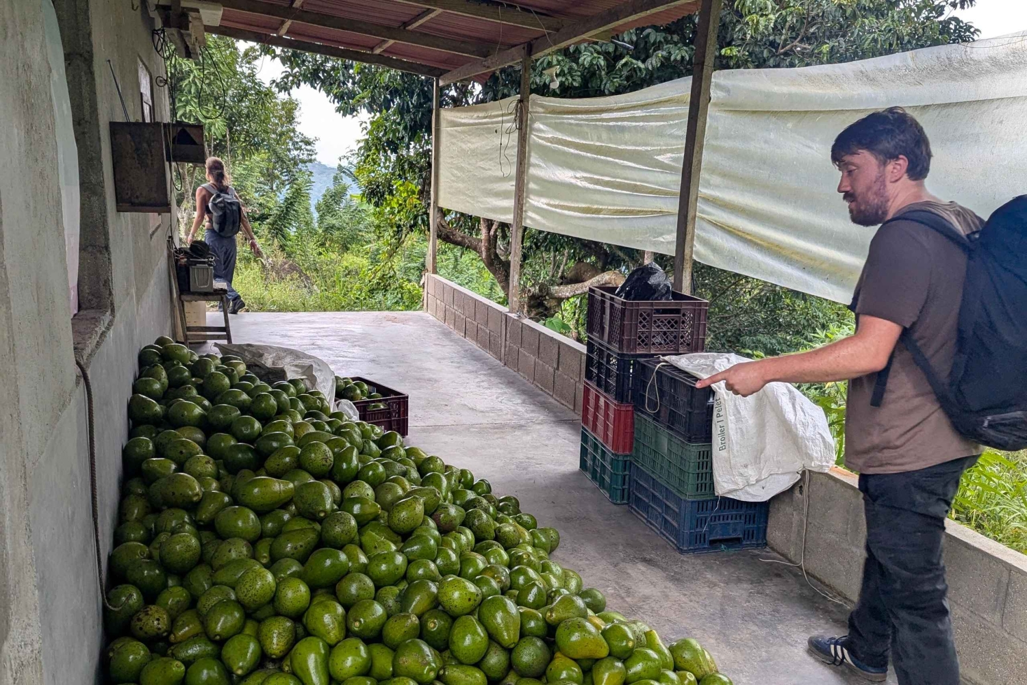 サンタ・マルタ：ブンクアニー遺跡トレッキング（2日間）