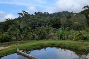 サンタ・マルタ：ブンクアニー遺跡トレッキング（2日間）