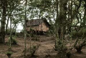 De Santa Marta ou Minca: Caminhada de 2 dias ao Cerro Kennedy