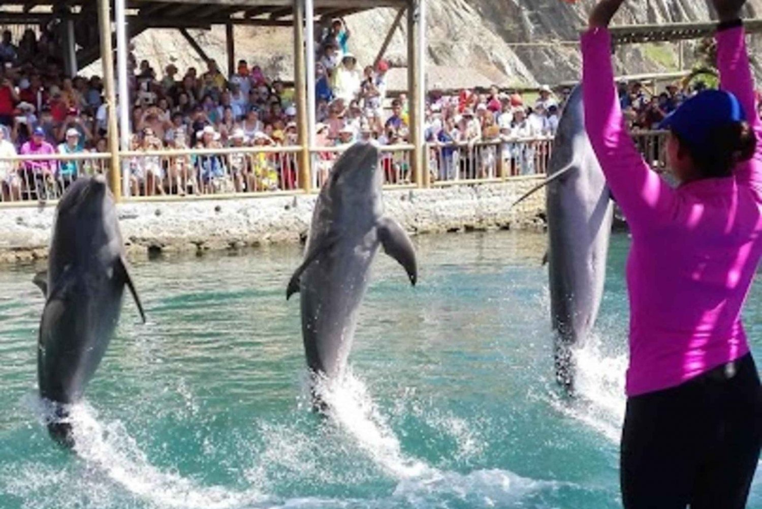 SANTA MARTA: Tour with Entrance to the Aquarium and Transfer to Playa Blanca!
