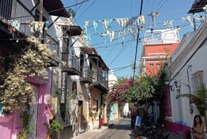 Santa Marta: City Tour with Quinta de San Pedro Entry