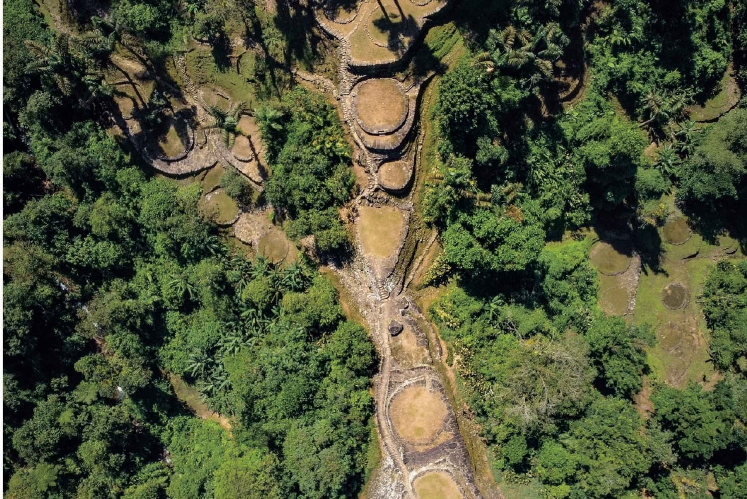 Santa Marta: Cidade Perdida (4 dias e 3 noites / 3 dias e 2 noites)