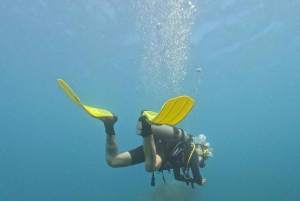 Santa Marta: Discover Scuba Diving at a Private Beach ️