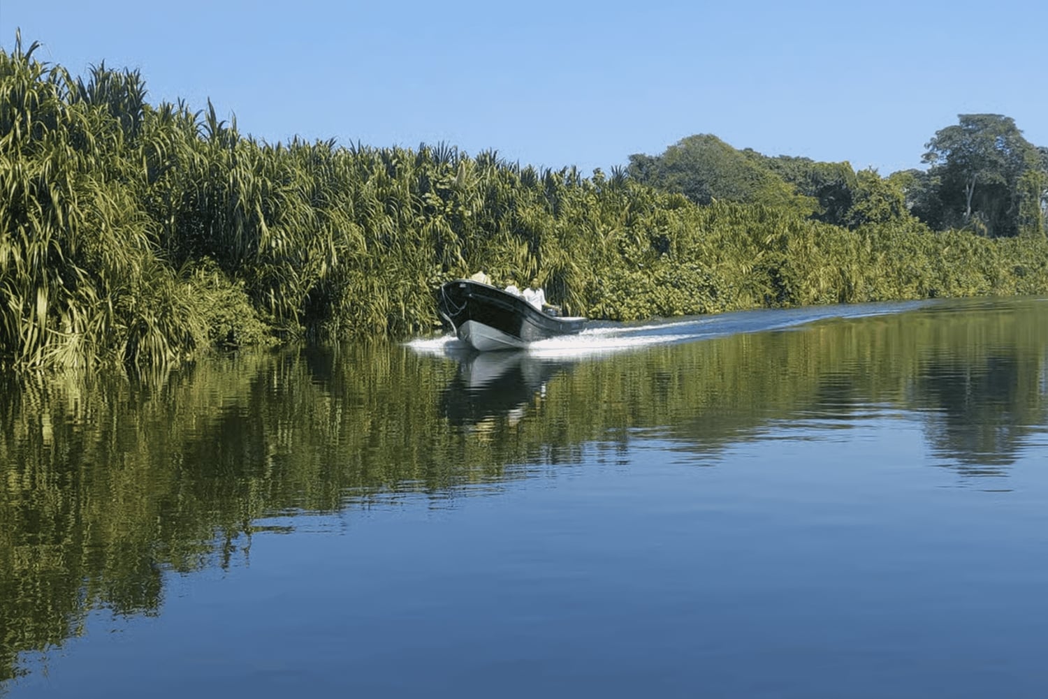 Santa Marta: Don Diego River Paddleboard and Chocolate Tour