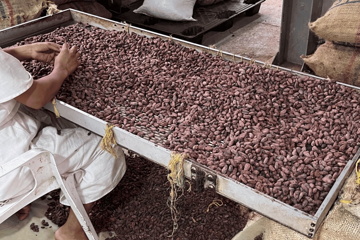 Santa Marta: Don Diego River Paddleboard and Chocolate Tour