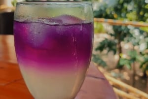 Santa Marta: Don Diego River Paddleboard and Chocolate Tour