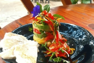 Santa Marta: Don Diego River Paddleboard and Chocolate Tour