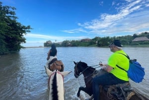 Santa Marta: paseo a caballo por la playa de Los Naranjos, Tayrona