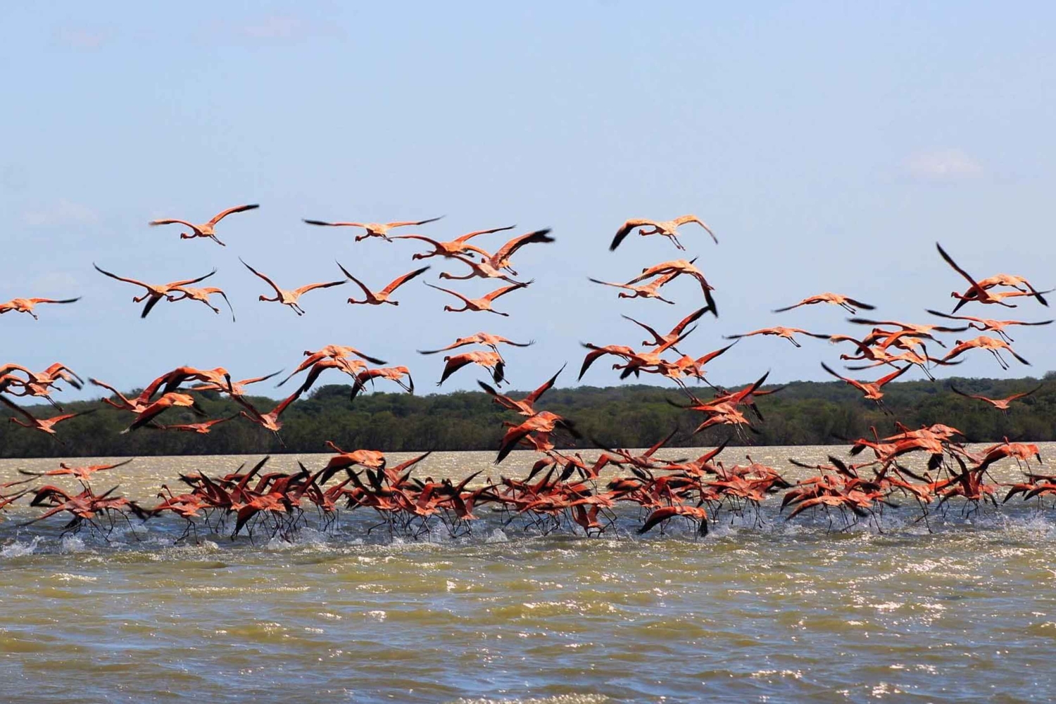 Santa Marta - Park Narodowy Los Flamingos
