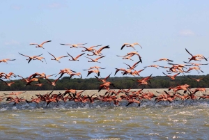 Santa Marta - Park Narodowy Los Flamingos