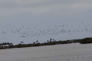 Santa Marta - Park Narodowy Los Flamingos