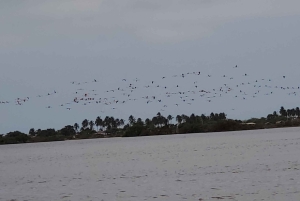 Santa Marta - Park Narodowy Los Flamingos