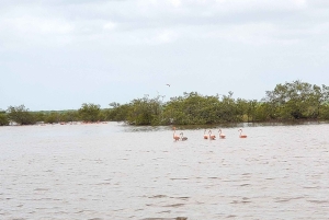 Santa Marta - Park Narodowy Los Flamingos