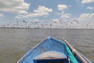 Santa Marta - Park Narodowy Los Flamingos