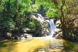 Santa Marta: Minca Coffee, Cocoa, & Waterfall Full-Day Trip