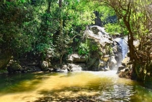 Santa Marta: Minca Coffee, Cocoa, & Waterfall Full-Day Trip