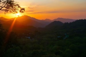 Santa Marta: Minca Coffee, Cocoa, & Waterfall Full-Day Trip