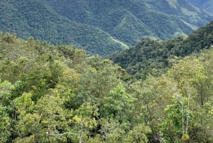 サンタマルタミンカコーヒー、ココア、滝1日ツアー
