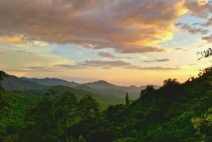 サンタマルタミンカコーヒー、ココア、滝1日ツアー