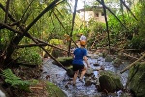 Santa Marta & Minca: Djungelvandring och rappelling vid vattenfall