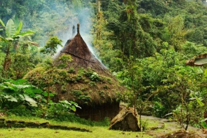 Santa Marta: Multi-Day Trek to The Lost City