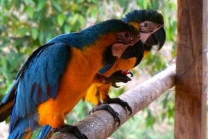 Santa Marta: Multi-Day Trek to The Lost City