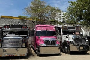 Санта-Марта: Ночная румба в Чиве в Санта-Марте