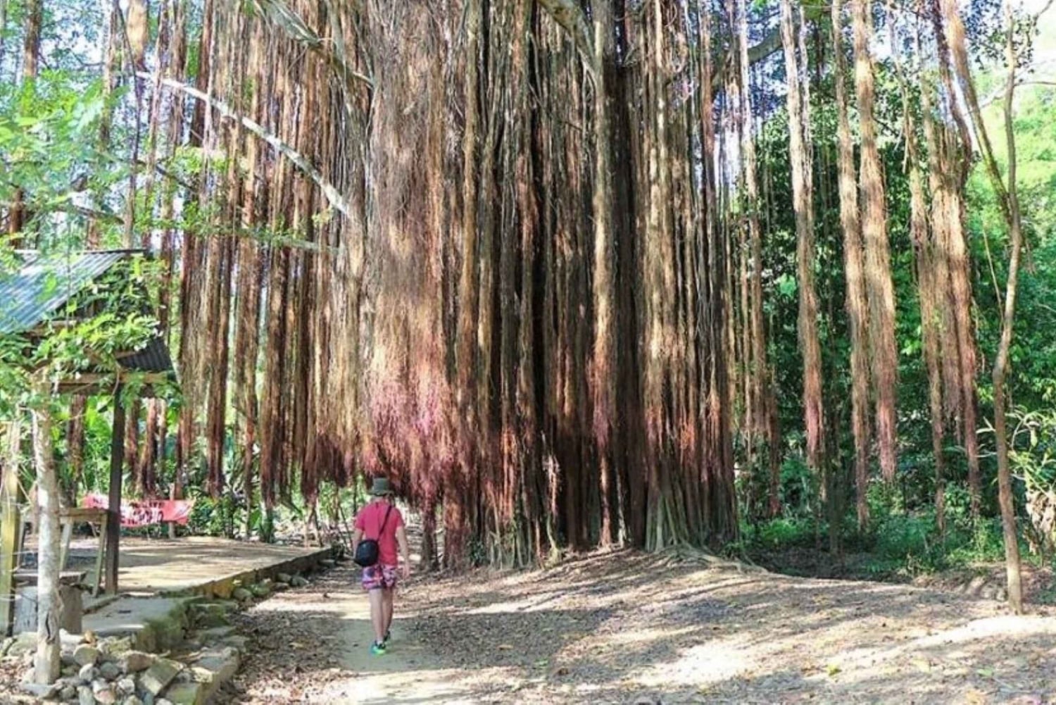 Санта-Марта: тур по Квебрада Валенсия или Гуачака и Буритака с обедом