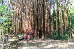 Санта-Марта: тур по Квебрада Валенсия или Гуачака и Буритака с обедом