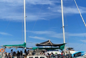 Santa Marta: Excursión de un día en velero al Parque Tayrona