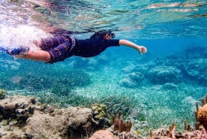 Santa Marta: Seawalker (Underwater Walk)