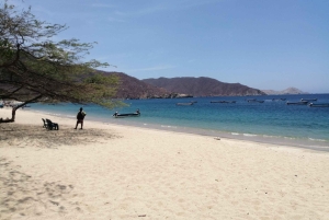 Santa Marta: Tayrona Bahía Concha Con Almuerzo y Playa