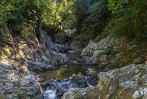 Santa Marta: Tayrona Park Hike to Cabo San Juan