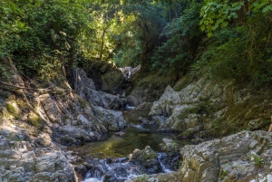 Santa Marta: Tayrona Park Hiking Tour & San Juan Cape Visit