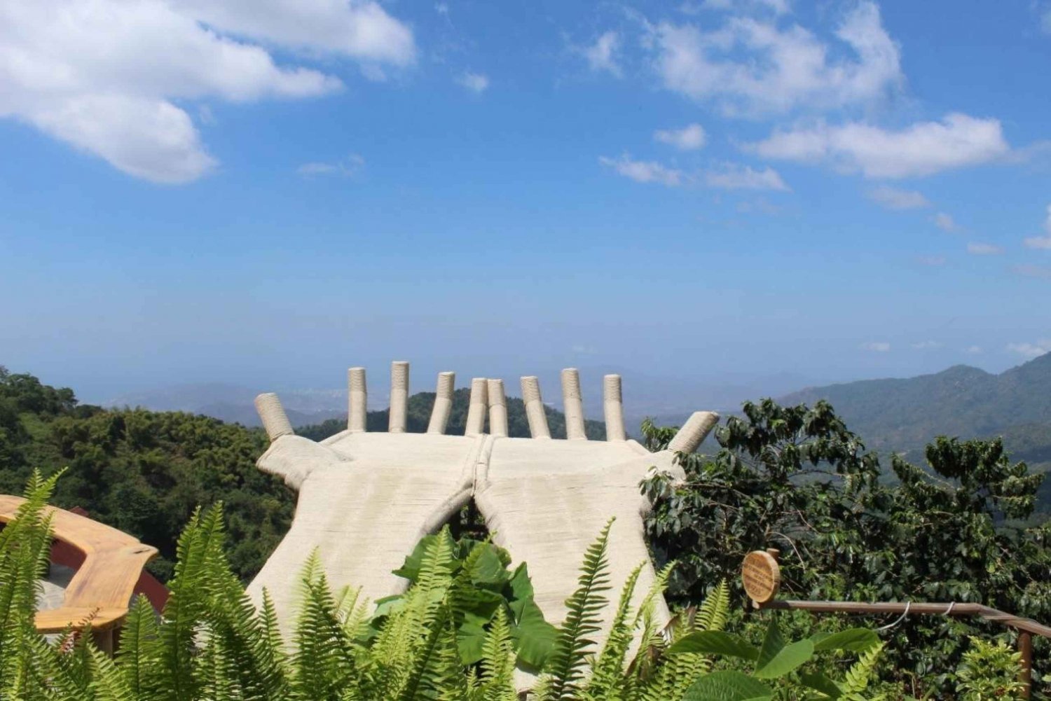 Tour del caffè e del cacao a Minca!