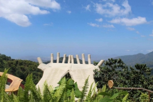 Coffee and Cocoa Tour in Minca!