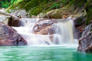 Coffee and Cocoa Tour in Minca!