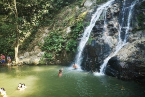 Coffee and Cocoa Tour in Minca!