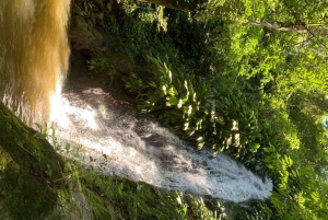 Coffee and Cocoa Tour in Minca!