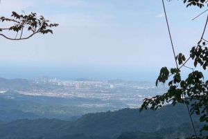 Coffee and Cocoa Tour in Minca!