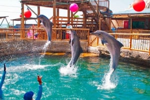 SANTA MARTA: Tour con ingresso all'Acquario e trasferimento a Playa Blanca!