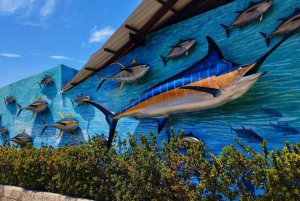 SANTA MARTA: Tour con ingresso all'Acquario e trasferimento a Playa Blanca!