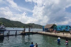 SANTA MARTA: Tour con ingresso all'Acquario e trasferimento a Playa Blanca!