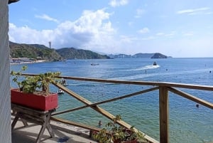 SANTA MARTA: Tour con ingresso all'Acquario e trasferimento a Playa Blanca!