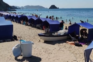 SANTA MARTA: Tour con ingresso all'Acquario e trasferimento a Playa Blanca!