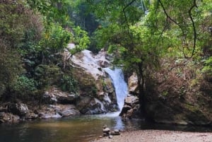Santa Marta: Trekking in Minca Complete Waterfall Circuit