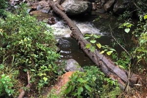 Santa Marta: Trekking in Minca Complete Waterfall Circuit